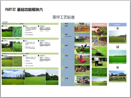 全齡社區(qū)景觀產(chǎn)品設(shè)計(jì)標(biāo)準(zhǔn)化手冊——圖文并茂的設(shè)計(jì)與制作指南